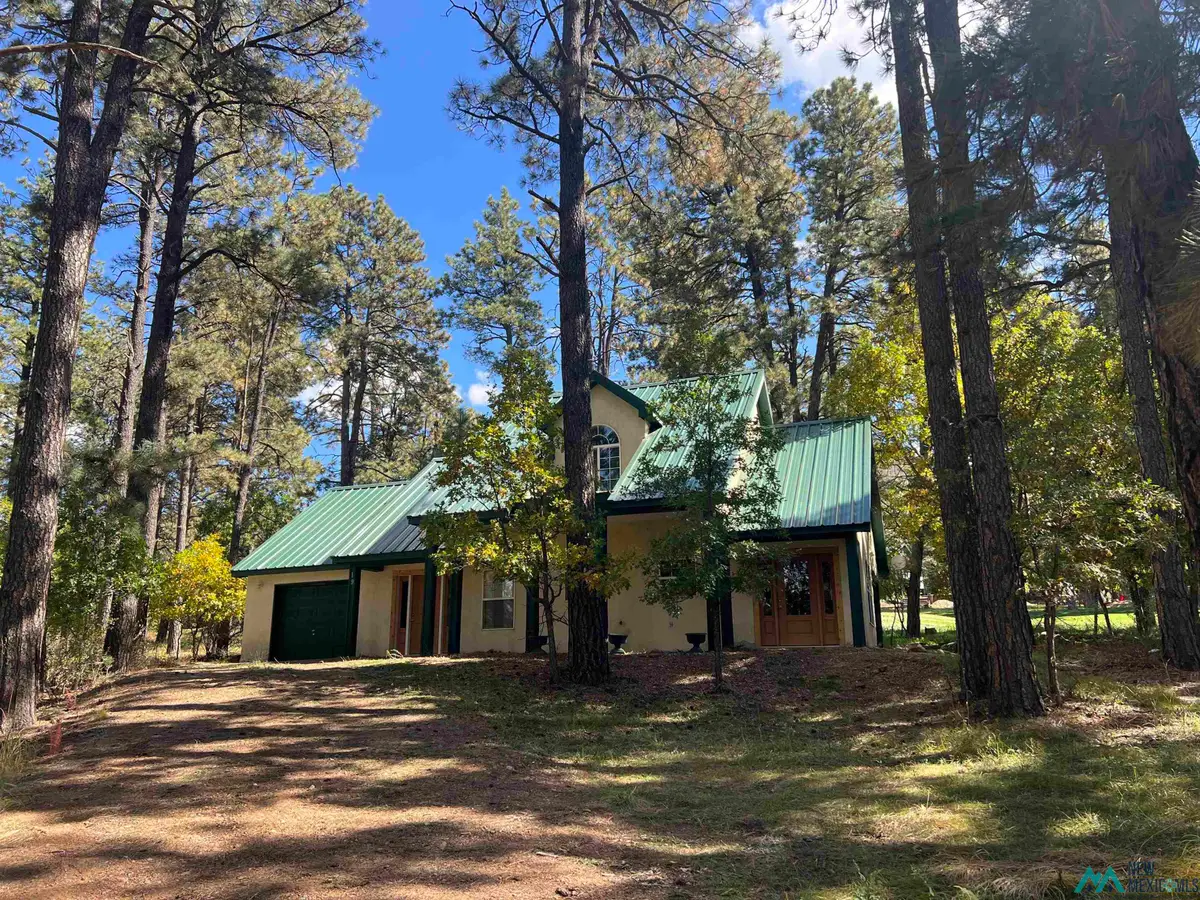 19 Valley View Court, Rociada, NM 87742 - #1