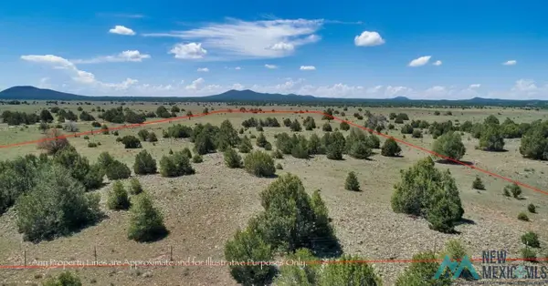 0067 W Lobo Solitario Road, Grants, NM 87321