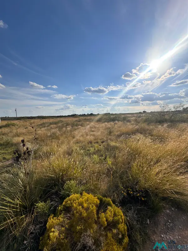 1783 Moreland Road, Portales, NM 88130