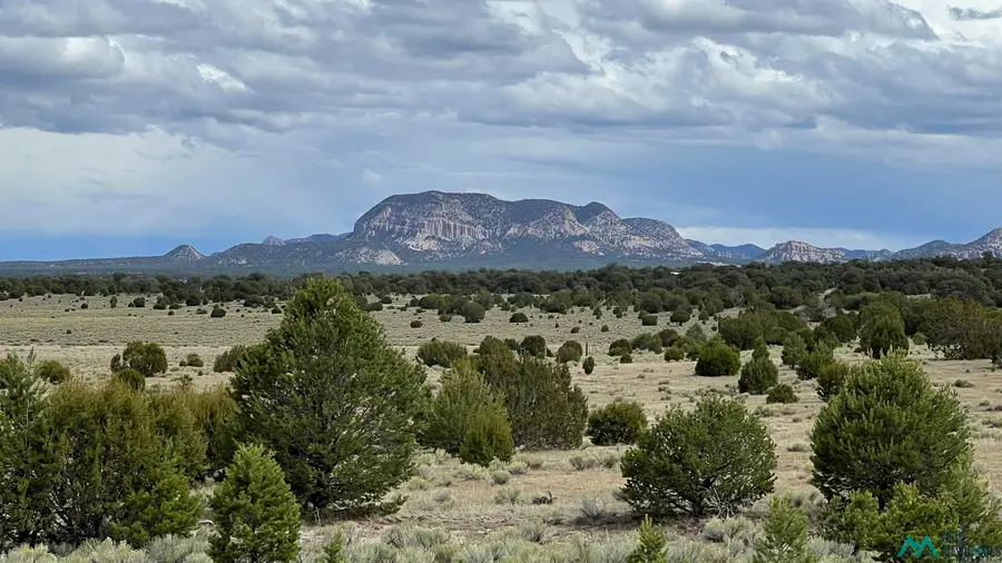 87 Deer Run Trail Road, Pie Town, NM 87827 - Image #2