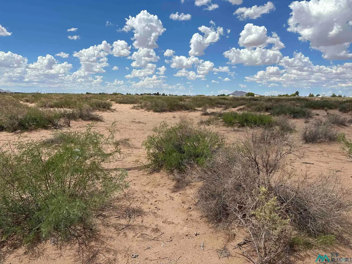 XXXX Overhill #1 Drive Nw, Deming, NM 88030 - Image #1