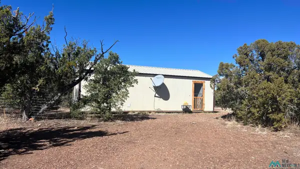 9 Reata Trail Road, Quemado, NM 87829