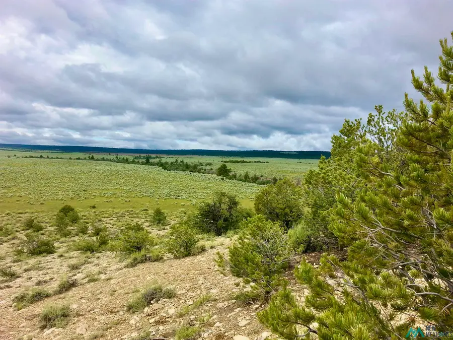 955 County Road 303 Road, Cebolla, NM 87518 - Image #3