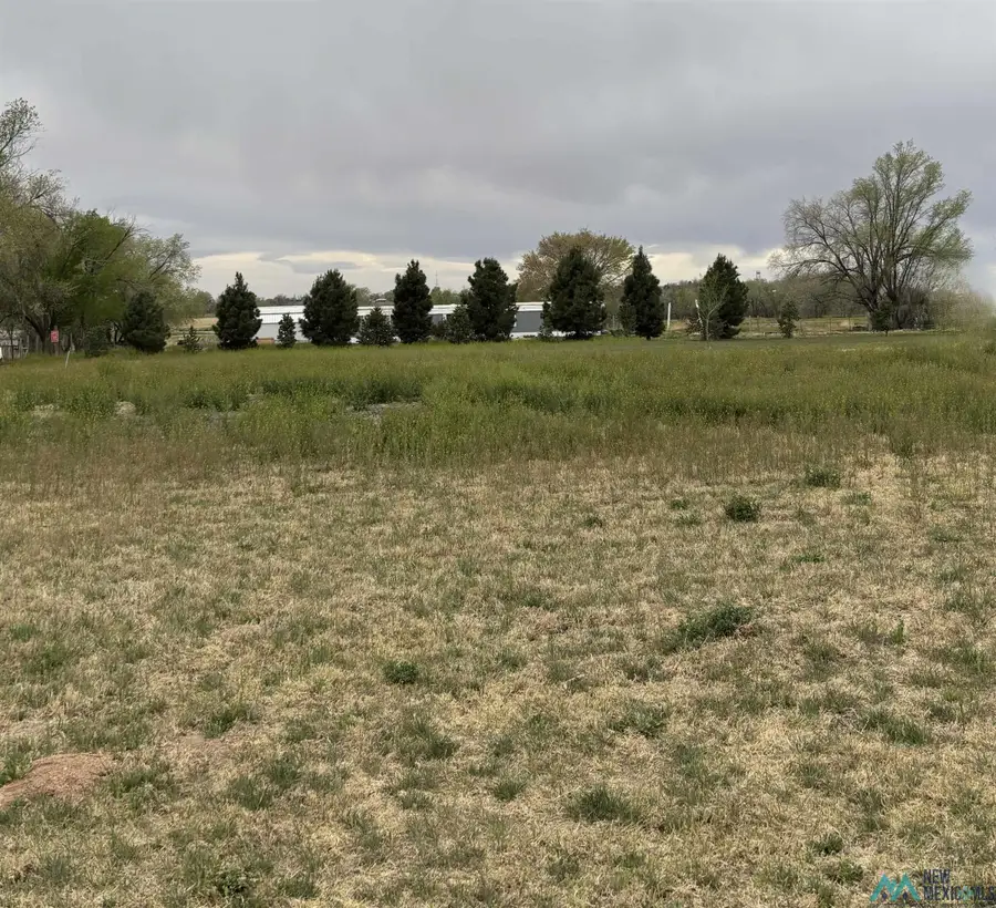 1800 E College Boulevard, Roswell, NM 88201 - Image #3