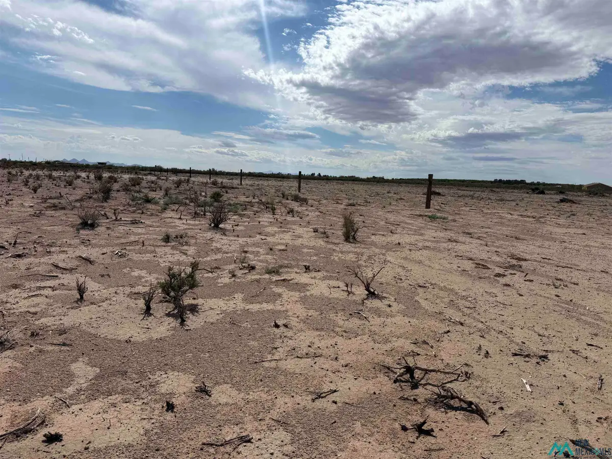 XXXX SE Lagremas Road, Deming, NM 88030 - Image #1