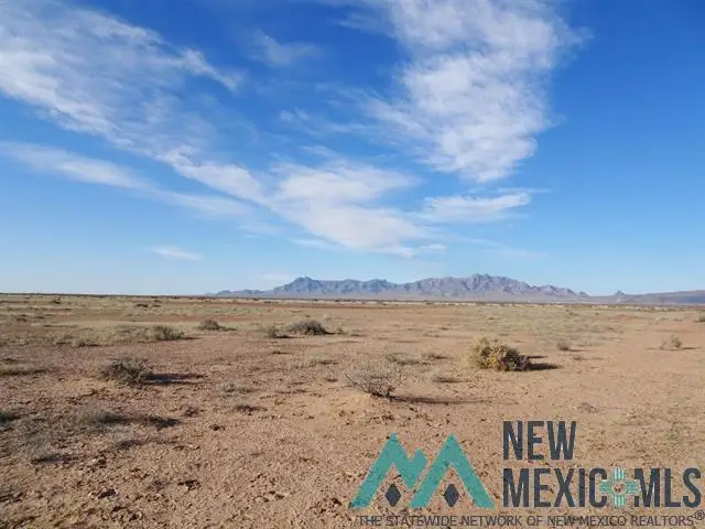 00 SE Capitol Dome Road, Deming, NM 88030 - Image #2