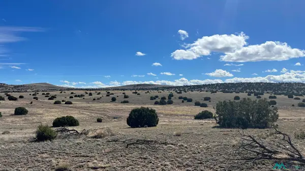 TBD Deer Circle Road, Quemado, NM 87829