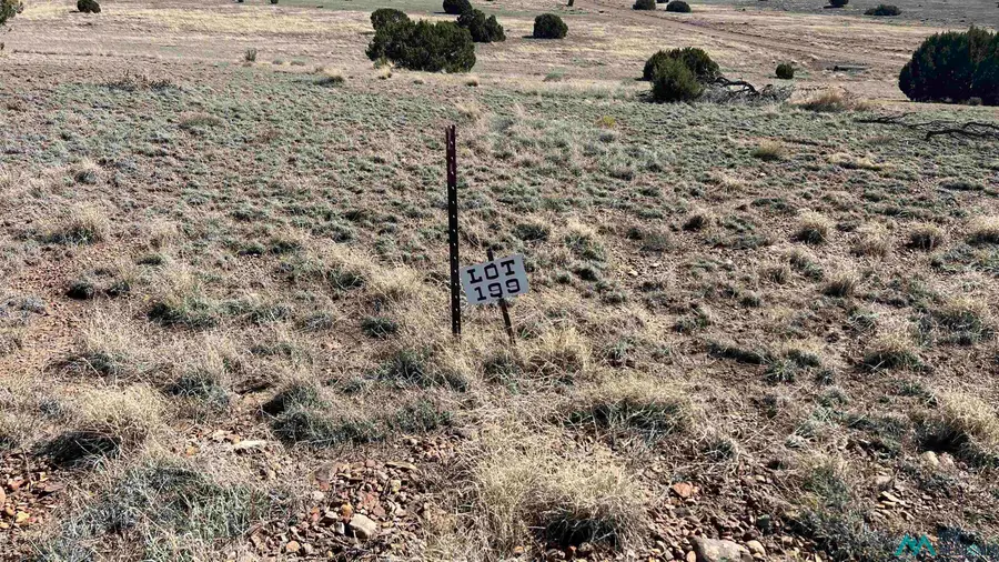 TBD Deer Circle Road, Quemado, NM 87829 - Image #2