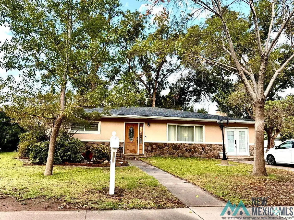 1115 N Ural Drive, Carlsbad, NM 88220 - #1
