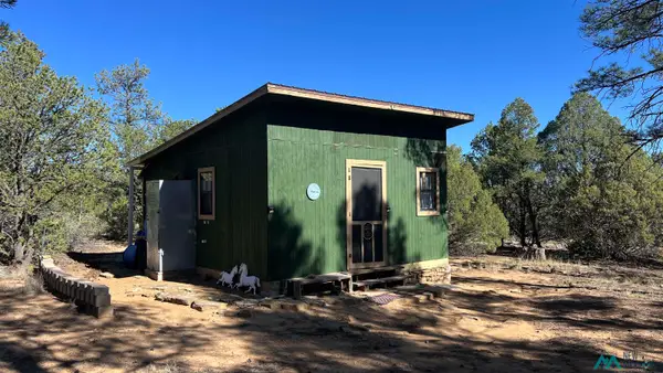 1017 Wild Horse Ranch Road Road, Pie Town, NM 87827