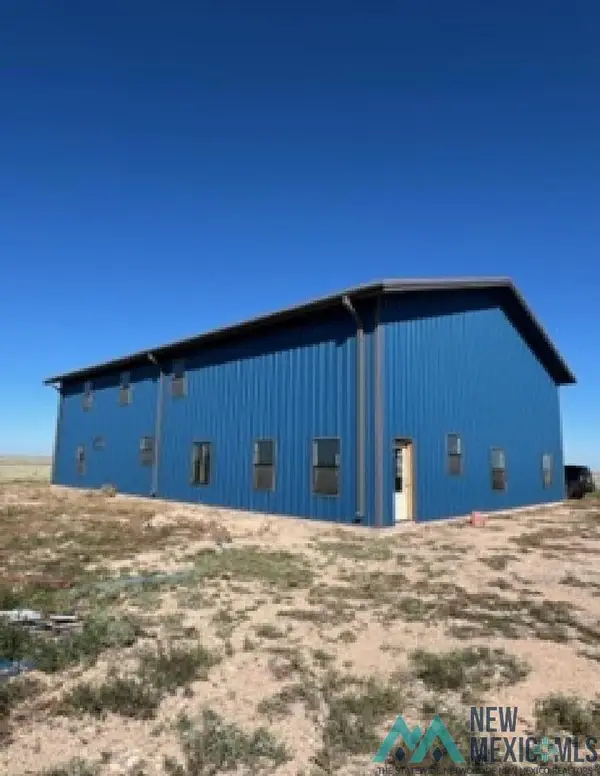 810 W Chickasaw Street, Hagerman, NM 88232
