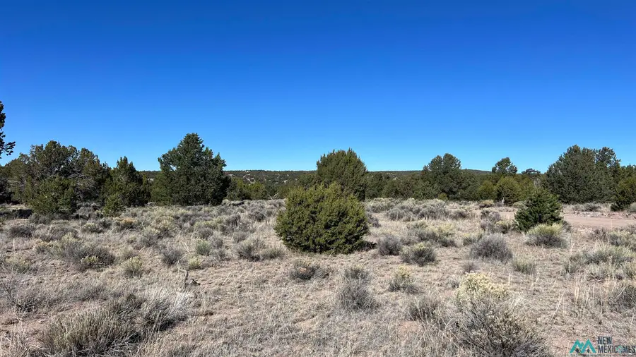 TBD Pinewood Circle Road, Pie Town, NM 87827 - Image #2