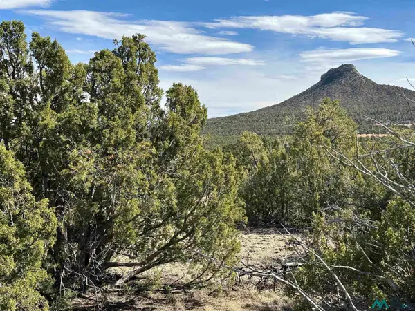 4.872 acres Frontage Road 2116 Road, Serafina, NM 87569