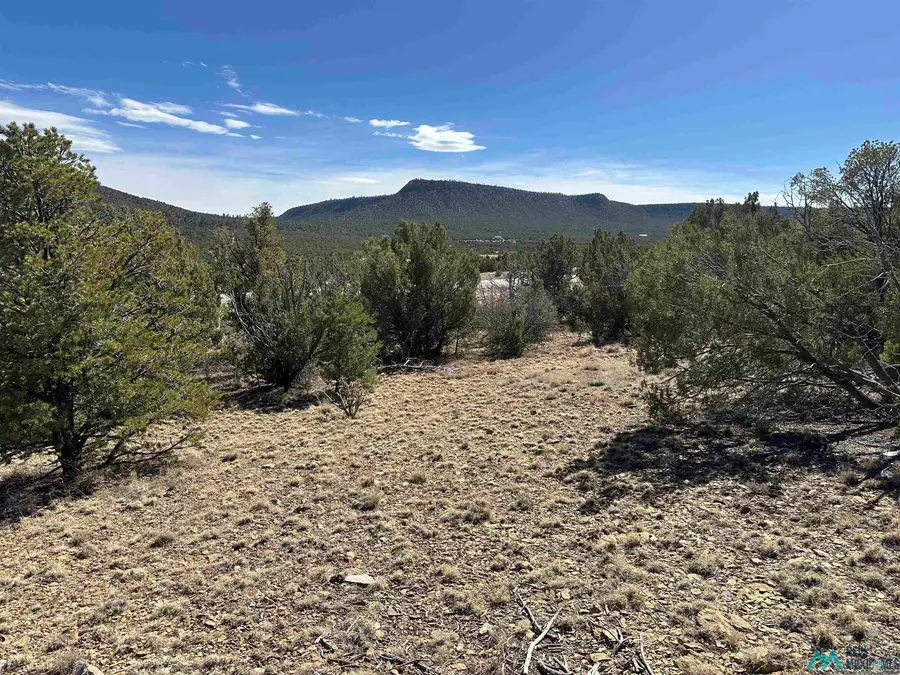 4.872 acres Frontage Road 2116 Road, Serafina, NM 87569 - Image #3