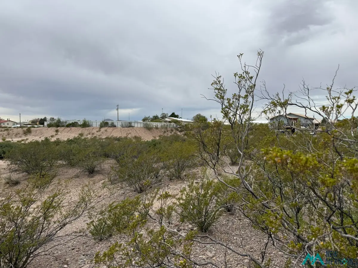 208 Brazos Street, Elephant Butte, NM 87935 - #1