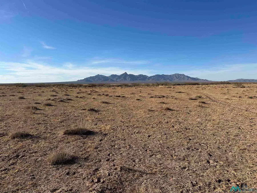 XXXX Avenura Rd Se, Deming, NM 88030 - Image #2