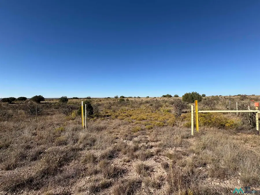 Lot 10 Quail Lane, Lake Sumner, NM 88119 - Image #3