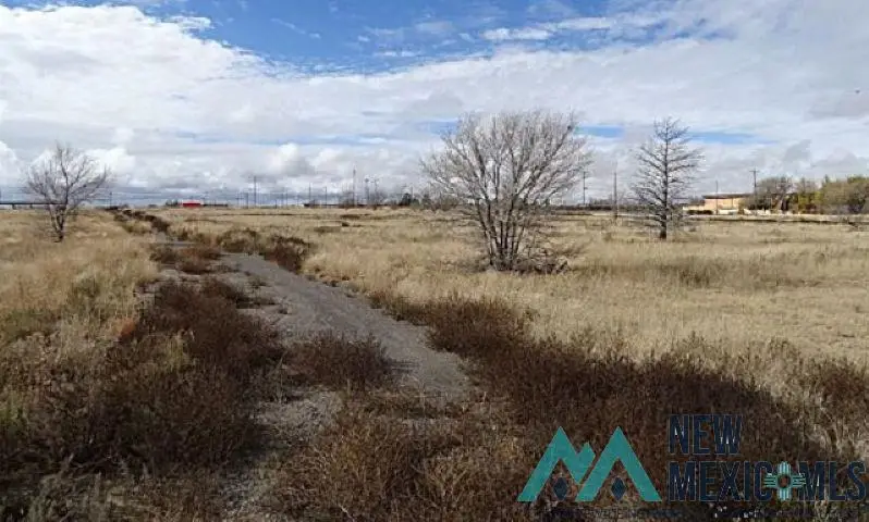 South Clayton Ext Tract 5, A 9.217 Acre Tract, Clayton, NM 88415 - Image #2