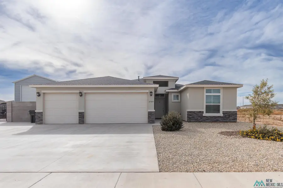 3709 S Sunnyview Avenue, Carlsbad, NM 88220 - Image #2