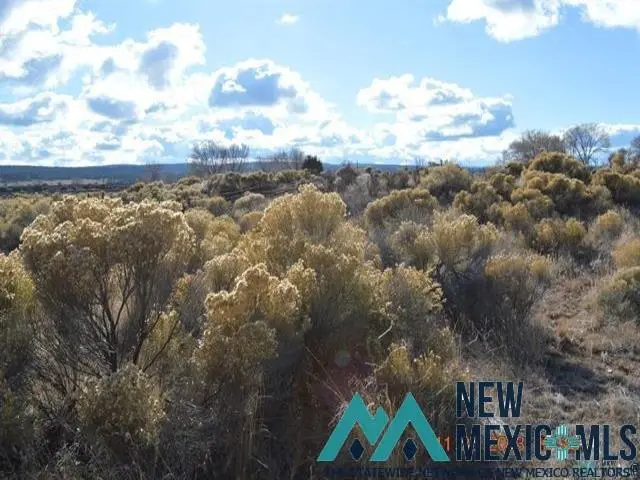 LOT 104 Primerose Place, Thoreau, NM 87323 - Image #3