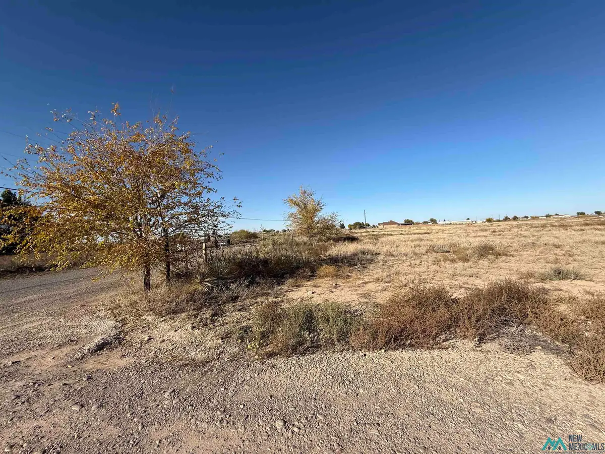 000 Rebel Road, Dexter, NM 88230 - #1