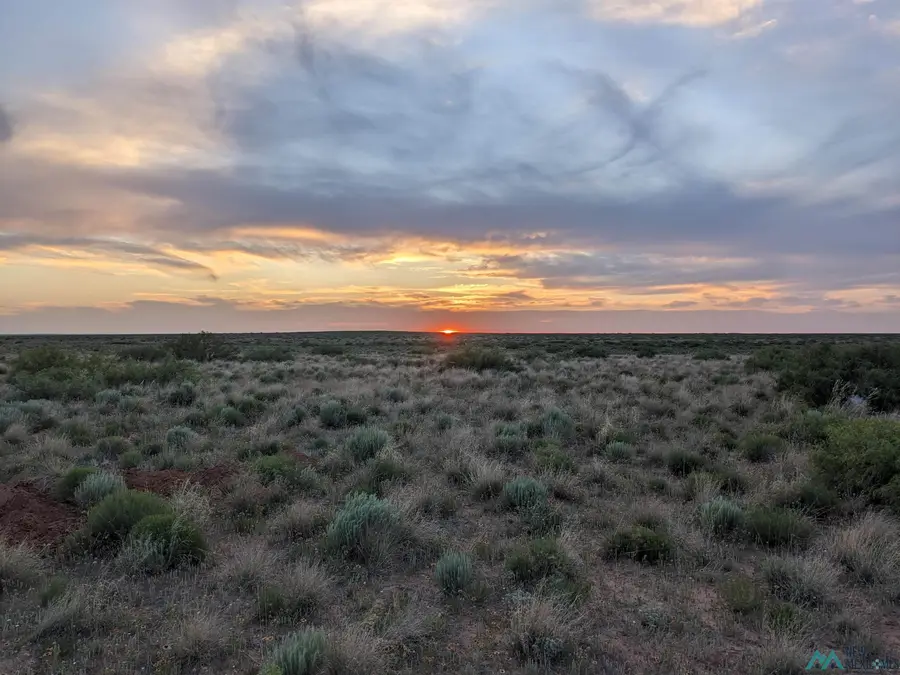 0 Llauds Road, Roswell, NM 88201 - Image #2