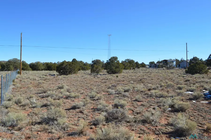 LOT 5 Weagley Road, Bluewater, NM 87323 - Image #3
