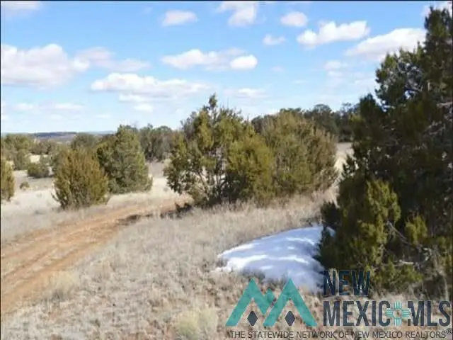 TBD Great White Father Road, Candy Kitchen, NM 87321 - Image #3