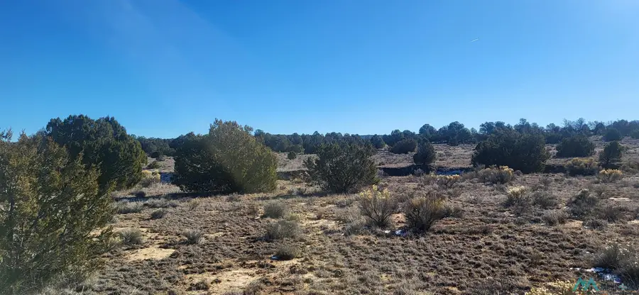 Tbd Arrowhead Road, Pinehill, NM 87357 - Image #2