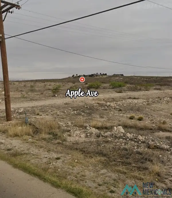 Lot 11 Apple Avenue, Carlsbad, NM 88220