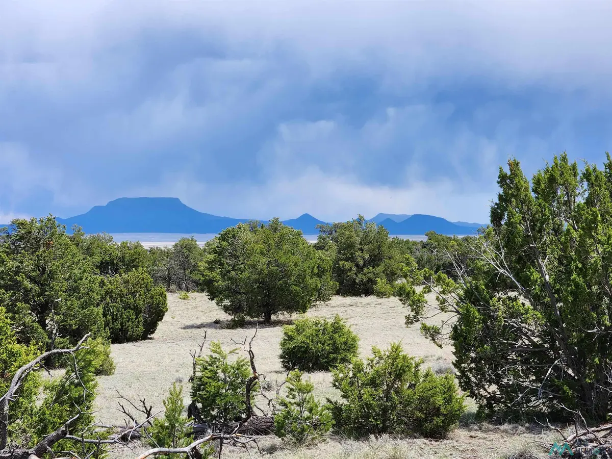 60 Arrow Lane Road, Quemado, NM 87829 - Image #1