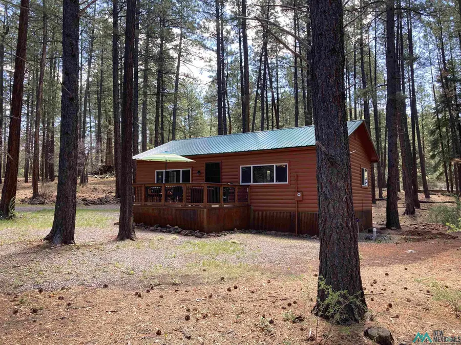 672 State Road 512 Road, Chama, NM 87520 - Image #2