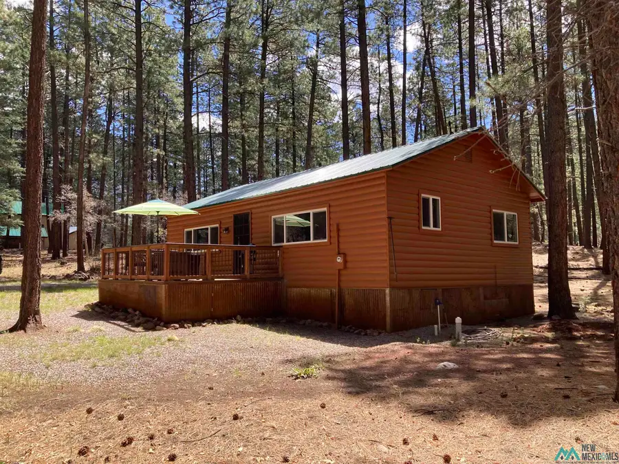 672 State Road 512 Road, Chama, NM 87520 - Image #3