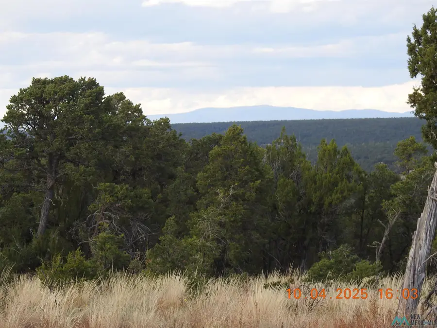 129 Tierra De Dios Roads, Rowe, NM 87562 - Image #3