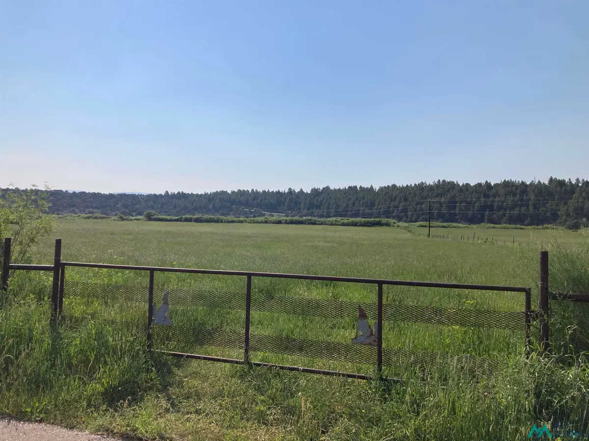 TBD Cr 531/340 Road, Los Ojos, NM 87551 - Image #1