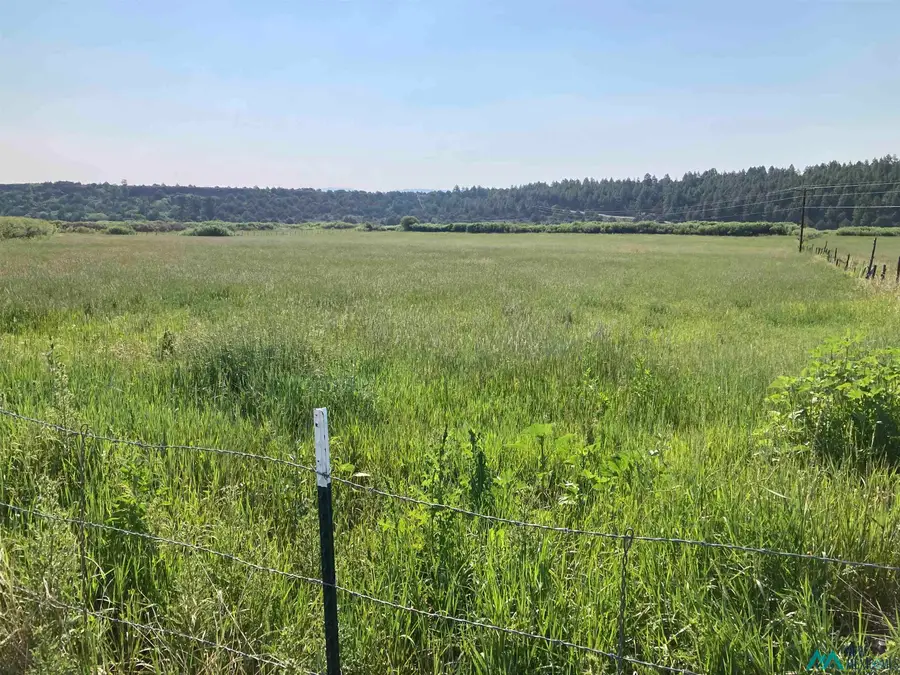 TBD Cr 531/340 Road, Los Ojos, NM 87551 - Image #2
