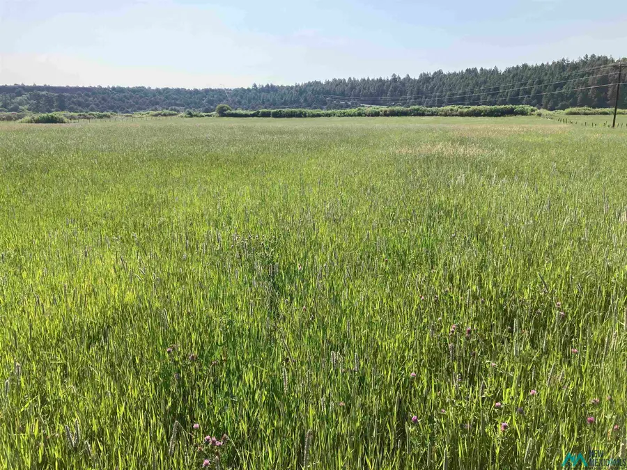 TBD Cr 531/340 Road, Los Ojos, NM 87551 - Image #3