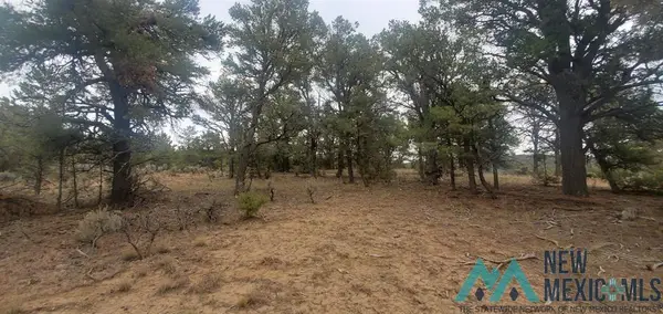 0 Cr 322 Drive, Los Ojos, NM 87551