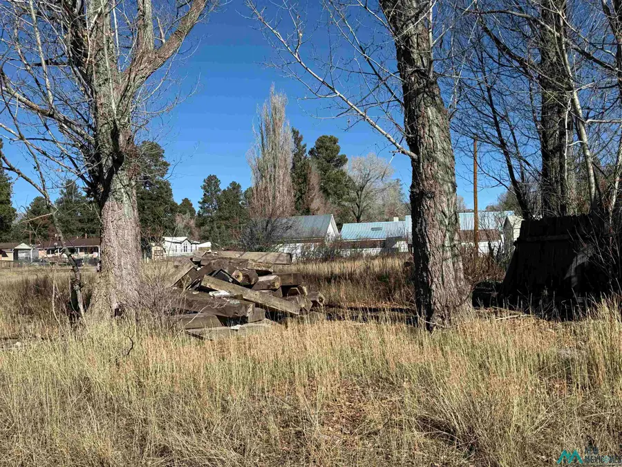 399 6th Street Corner, Chama, NM 87520 - Image #3