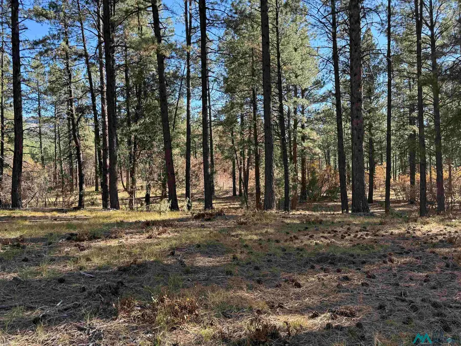 0 Venado Road, Chama, NM 87520 - Image #2