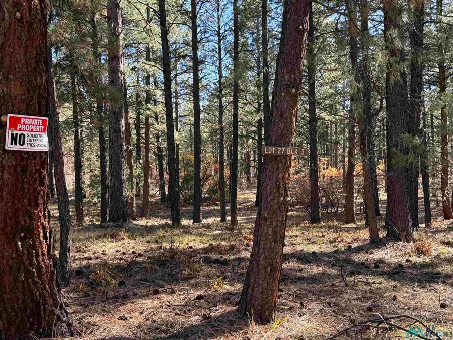 0 Venado Road, Chama, NM 87520 - Image #3