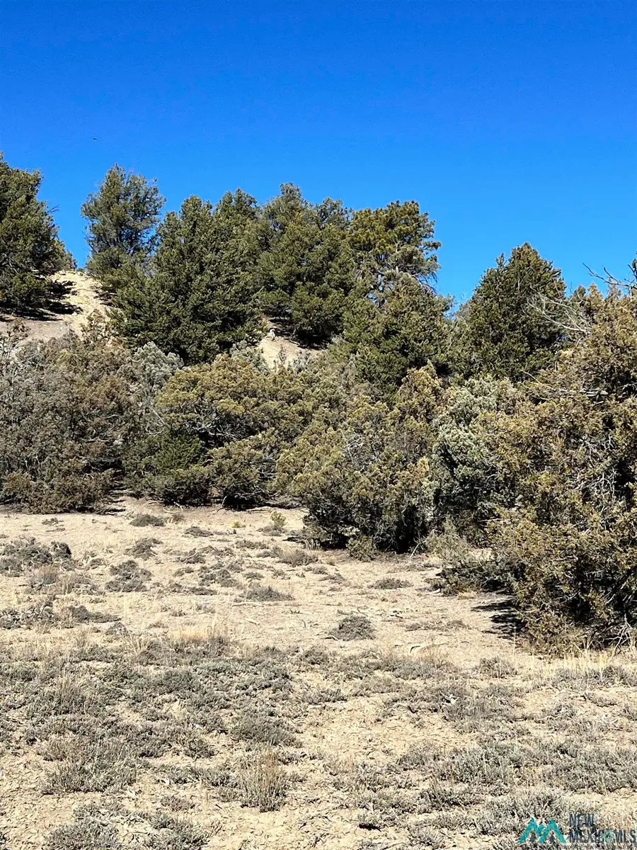 0 Willow Creek Road, Los Ojos, NM 87551 - Image #2