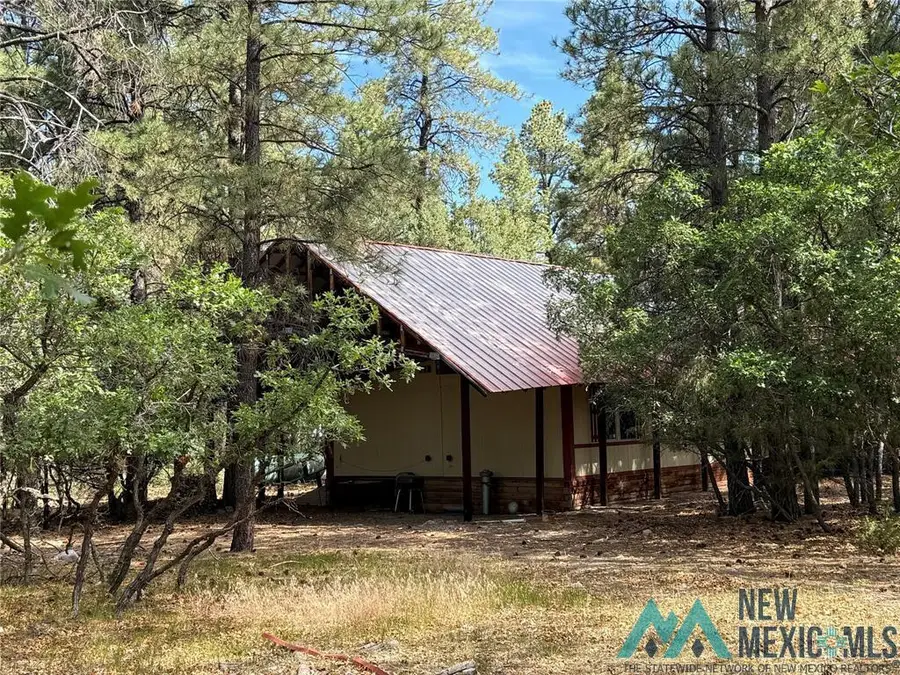 31 Mundy Lane Drive, Chama, NM 87520 - Image #3