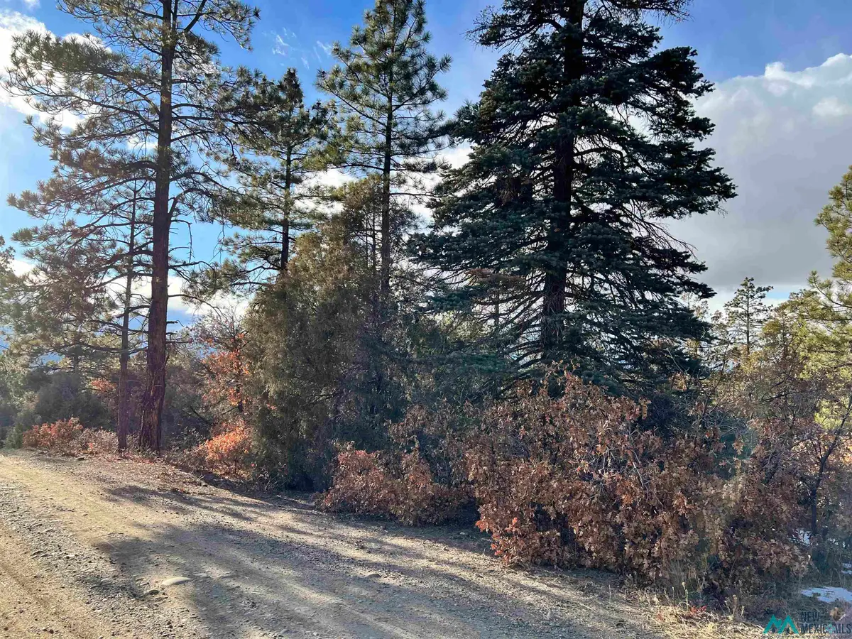 0 Rd 1781 Road, Chama, NM 87520 - Image #1