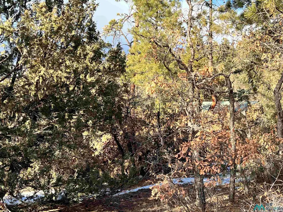 0 Rd 1781 Road, Chama, NM 87520 - Image #2