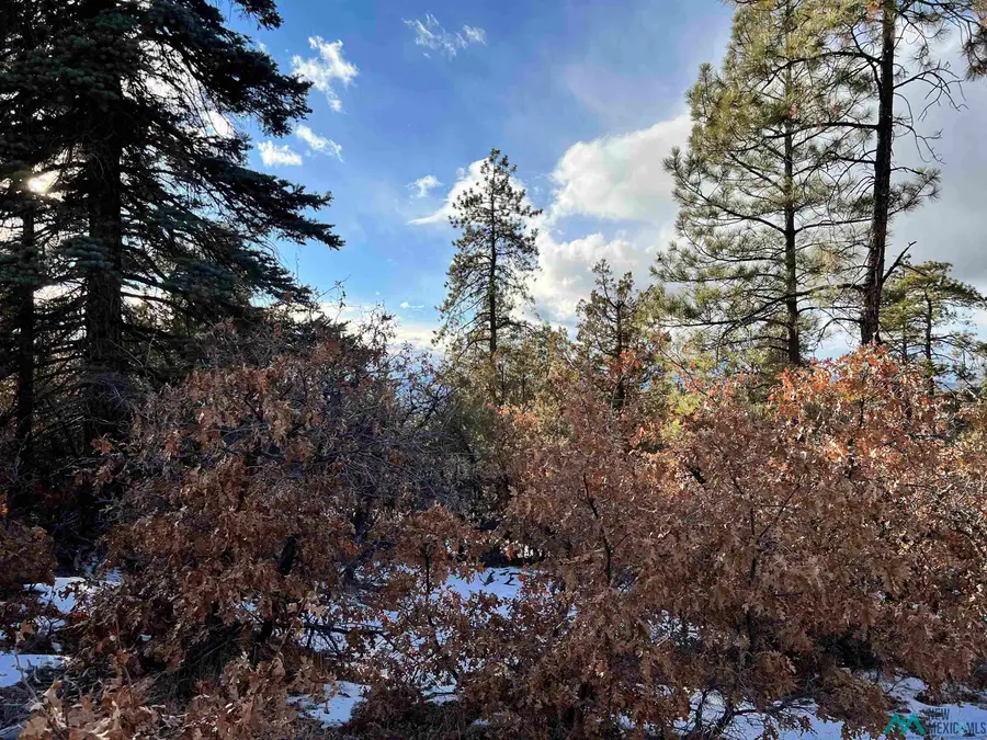 0 Rd 1781 Road, Chama, NM 87520 - Image #3