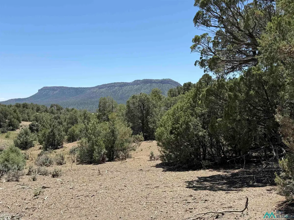 0 Christy Lane Lane, Chama, NM 87520 - Image #1