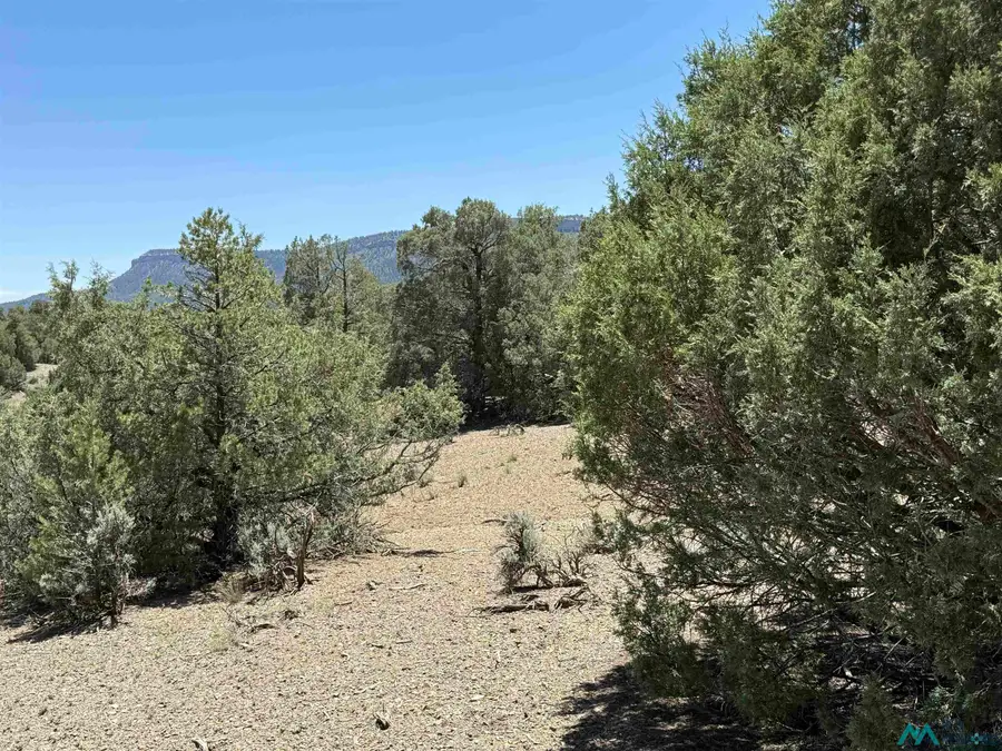 0 Christy Lane Lane, Chama, NM 87520 - Image #3