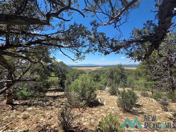 0 Lot 16, Unit 4 Road, Tierra Amarilla, NM 87575