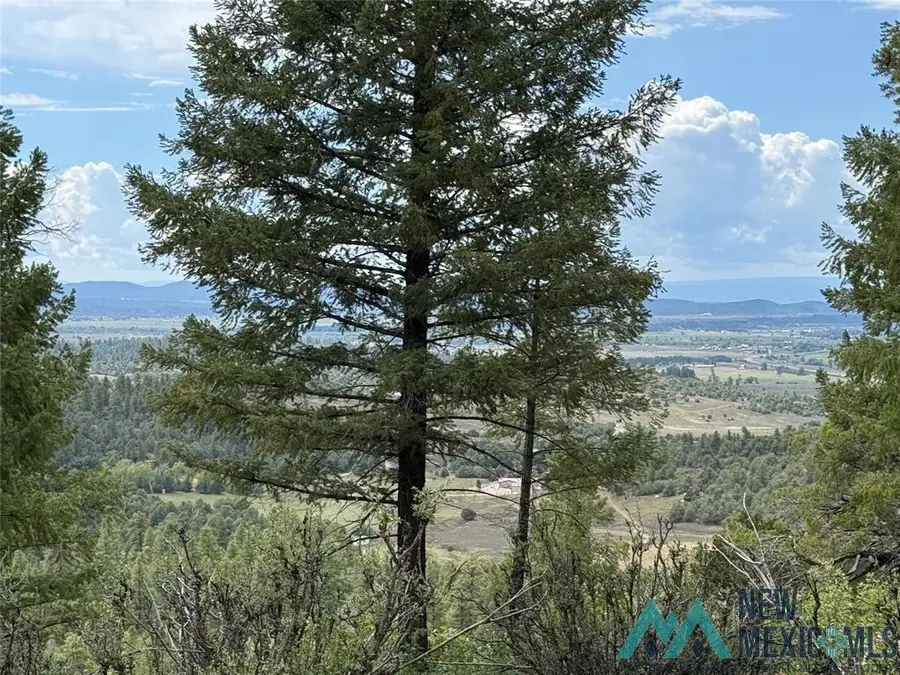 4 Unit 4 Lakeview Drive, Chama, NM 87520 - Image #3